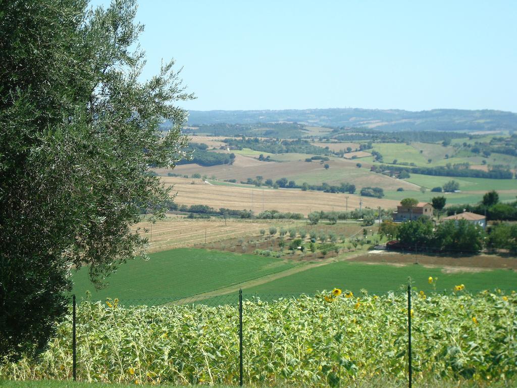 Podere Fontegallo 카스틸리오네델라고 외부 사진