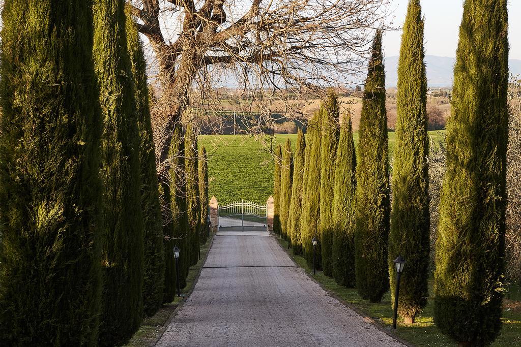 Podere Fontegallo 카스틸리오네델라고 외부 사진