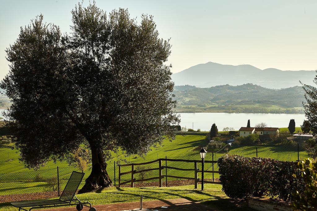 Podere Fontegallo 카스틸리오네델라고 외부 사진