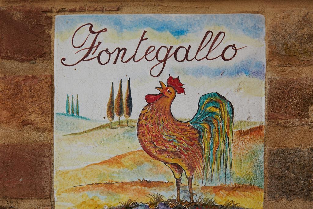 Podere Fontegallo 카스틸리오네델라고 외부 사진